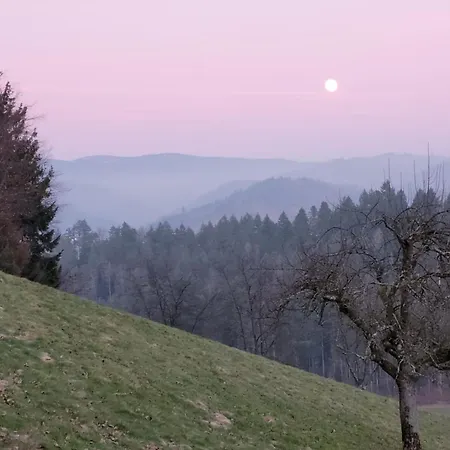 Am Boulevard דירה *