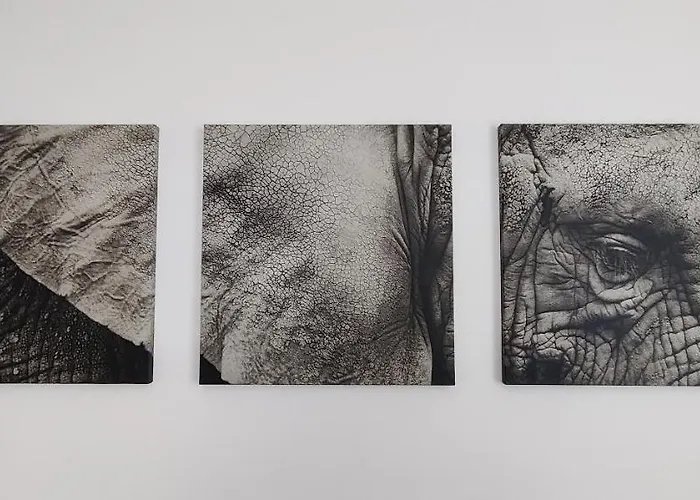 Am Boulevard Apartman Gengenbach